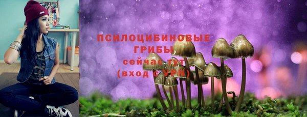 твердый Балахна