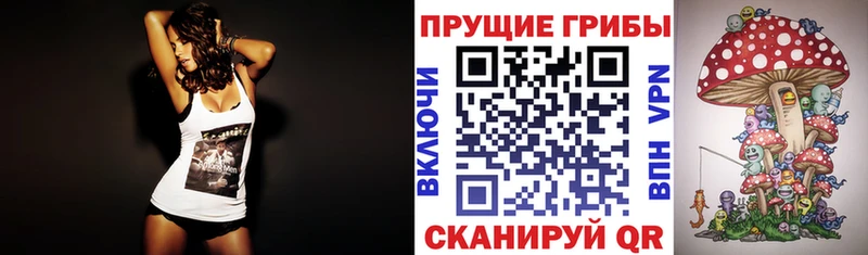 Галлюциногенные грибы мицелий  Топки 